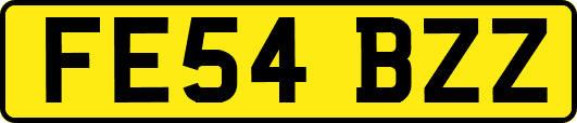 FE54BZZ