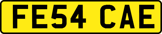 FE54CAE