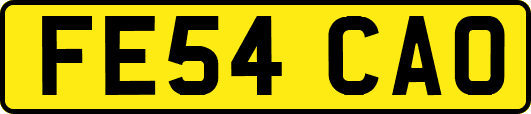 FE54CAO