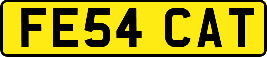 FE54CAT
