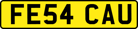 FE54CAU