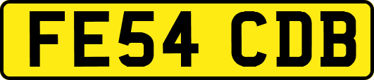 FE54CDB