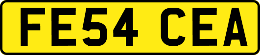FE54CEA