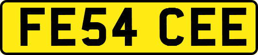 FE54CEE