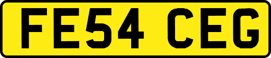 FE54CEG