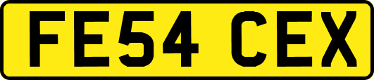 FE54CEX