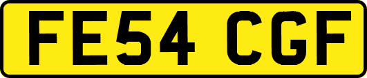 FE54CGF