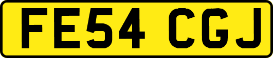 FE54CGJ