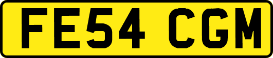 FE54CGM