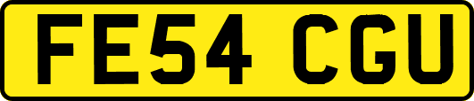 FE54CGU