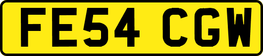 FE54CGW