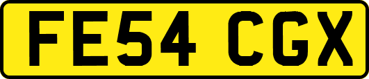 FE54CGX