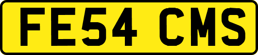 FE54CMS