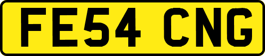 FE54CNG