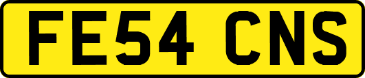FE54CNS