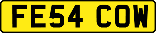 FE54COW