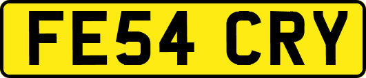 FE54CRY
