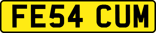 FE54CUM