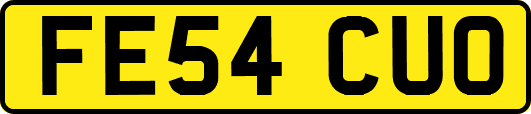 FE54CUO