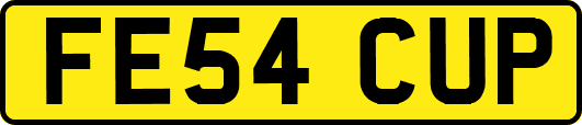 FE54CUP