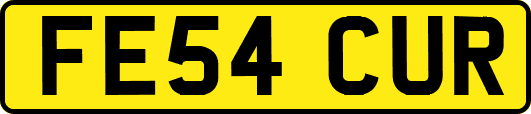FE54CUR