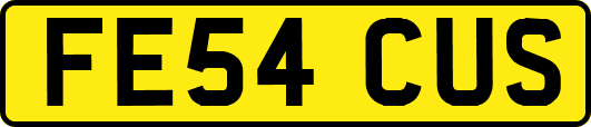 FE54CUS