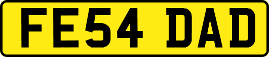FE54DAD