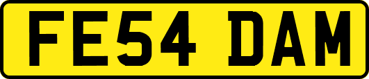FE54DAM