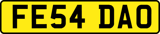 FE54DAO