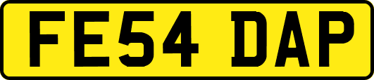 FE54DAP