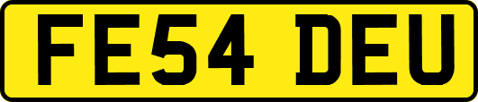 FE54DEU