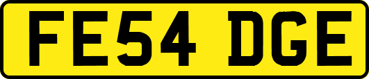 FE54DGE