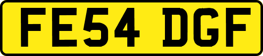 FE54DGF
