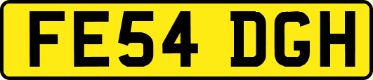 FE54DGH