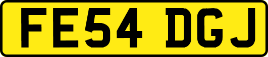 FE54DGJ