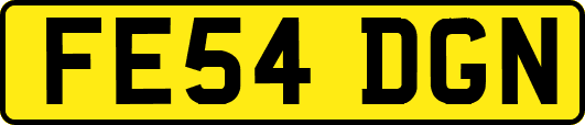 FE54DGN