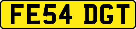 FE54DGT