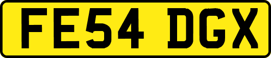 FE54DGX