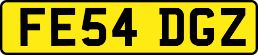 FE54DGZ