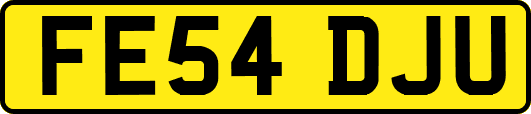 FE54DJU