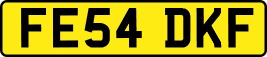 FE54DKF