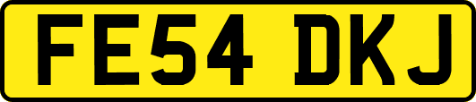 FE54DKJ
