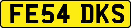 FE54DKS