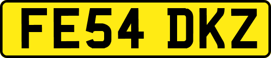 FE54DKZ