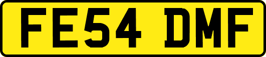 FE54DMF