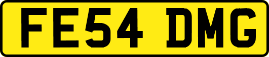 FE54DMG