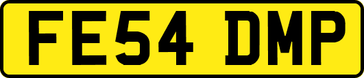 FE54DMP