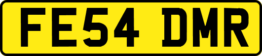 FE54DMR