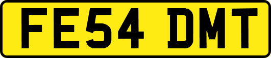 FE54DMT