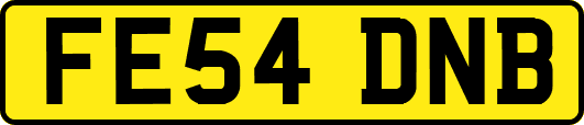 FE54DNB
